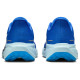 Nike Air Zoom Pegasus 41